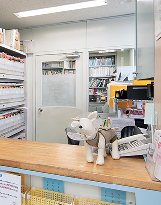 インタビュー動画の概要